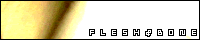 flesh.gif(2740 byte)